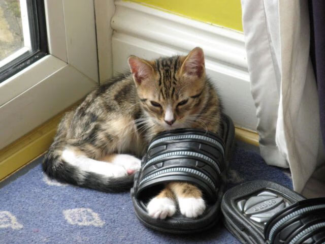 九游电竞站-_未来运动科技体验馆：开启极致运动新视界_，未来运动体育