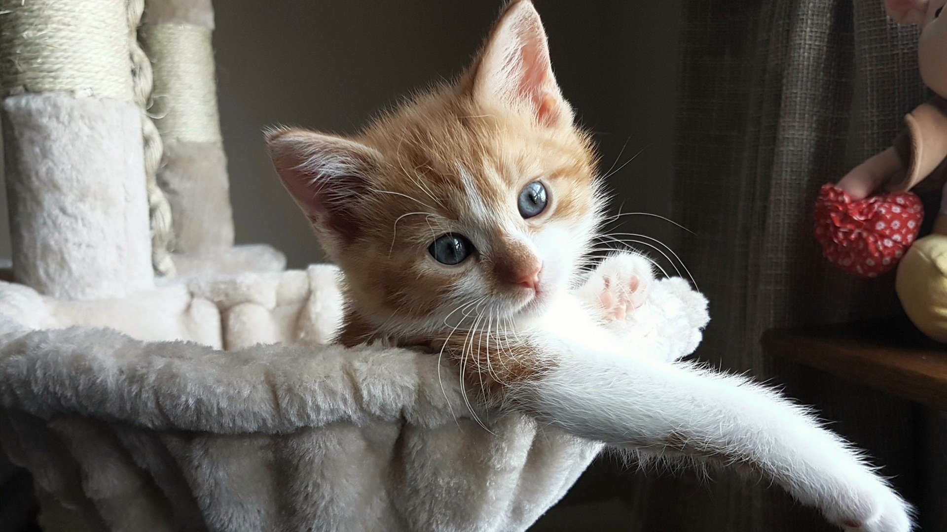 九游体育电竞官网-_本年度网球赛事回顾：那些令人难忘的瞬间_，网球赛事欣赏