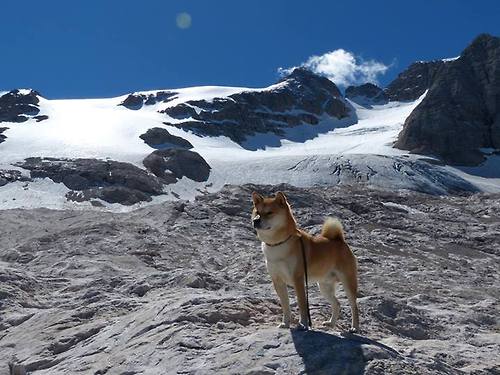 九游电竞站-“西甲焦点战：豪门对决点燃胜利欲望”，西甲豪门俱乐部