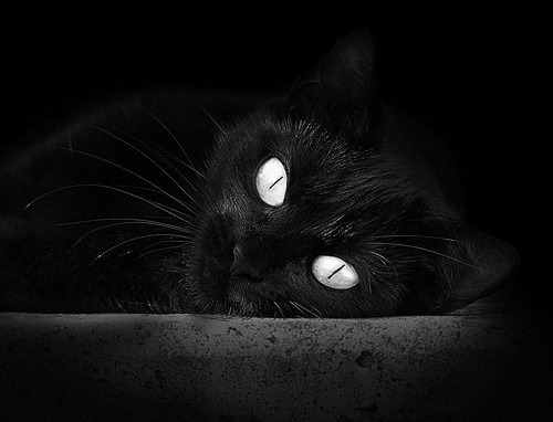 【Juan Soto成长之路】从青涩少年到联盟头牌打者，从青涩少年到如今