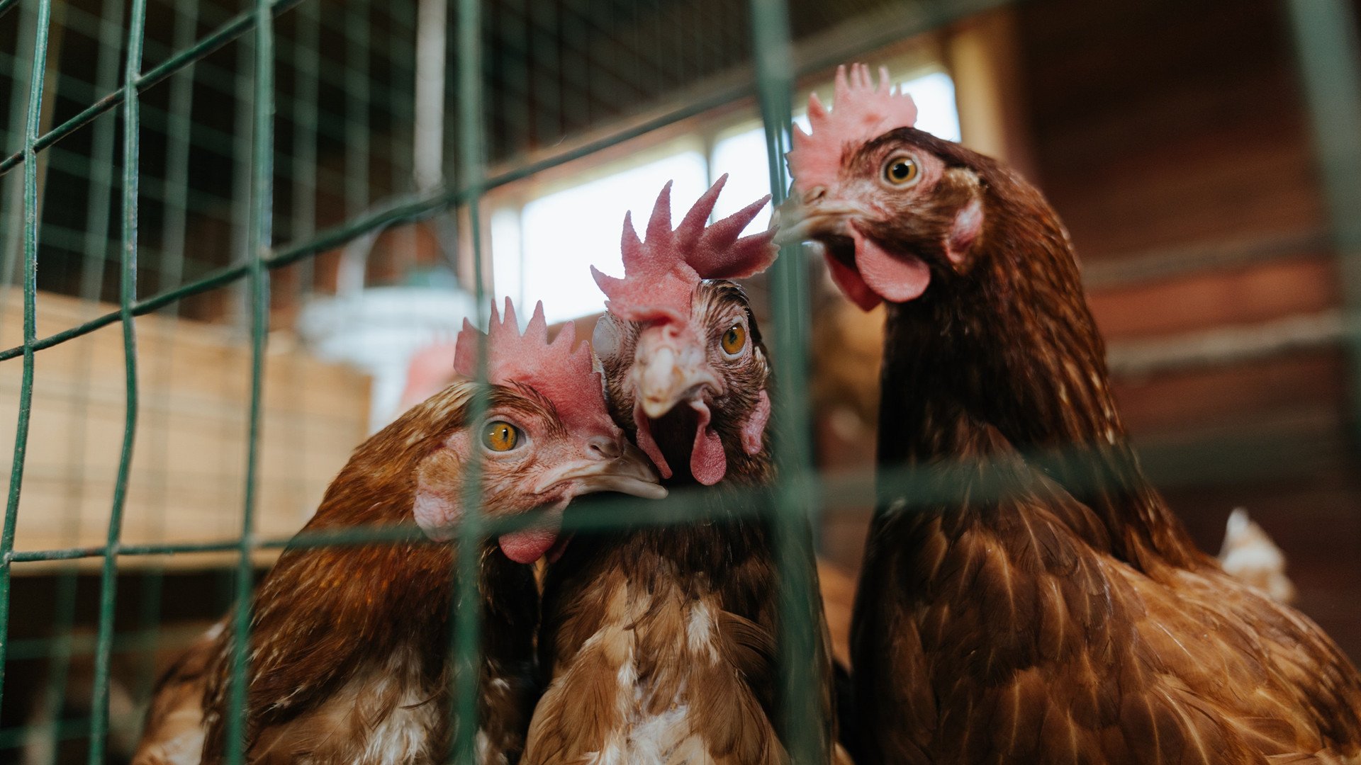 多场比赛精彩瞬间综述，谁的表现最令人震惊？，回顾比赛精彩瞬间