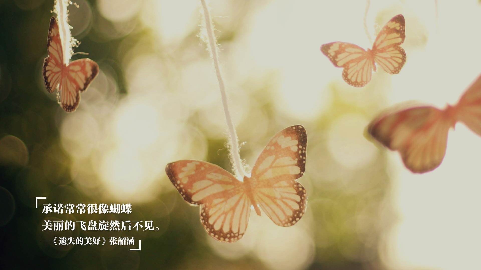 九游体育电竞-意大利马术协会与美洲马术协会合作，举办国际马术交流活动，促进文化互鉴。