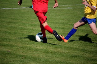 九游娱乐电竞站-特色足球文化在国际博览会中亮相，展示国家软实力，世界足球文化